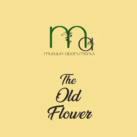 The Old Flower Gheorgheni  Exterior photo