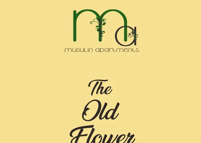 The Old Flower