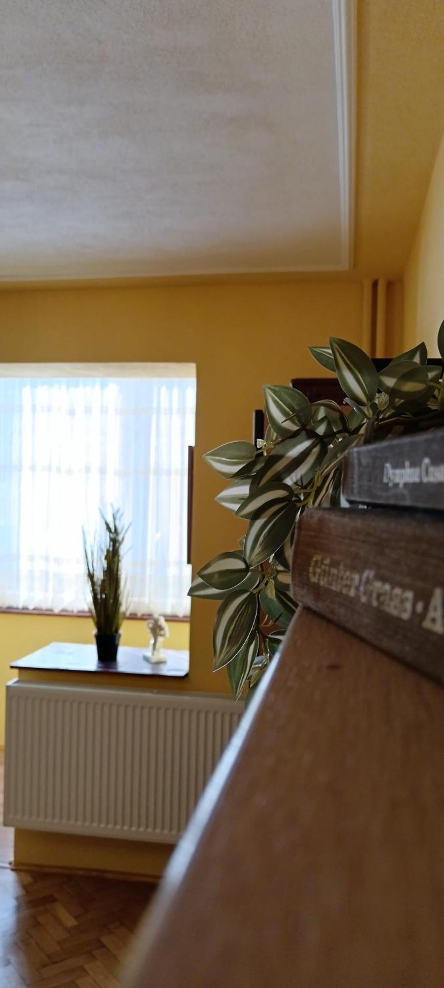Apartment The Old Flower