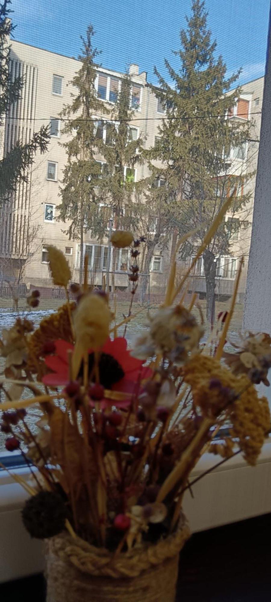 Apartment The Old Flower Gheorgheni (Harghita)