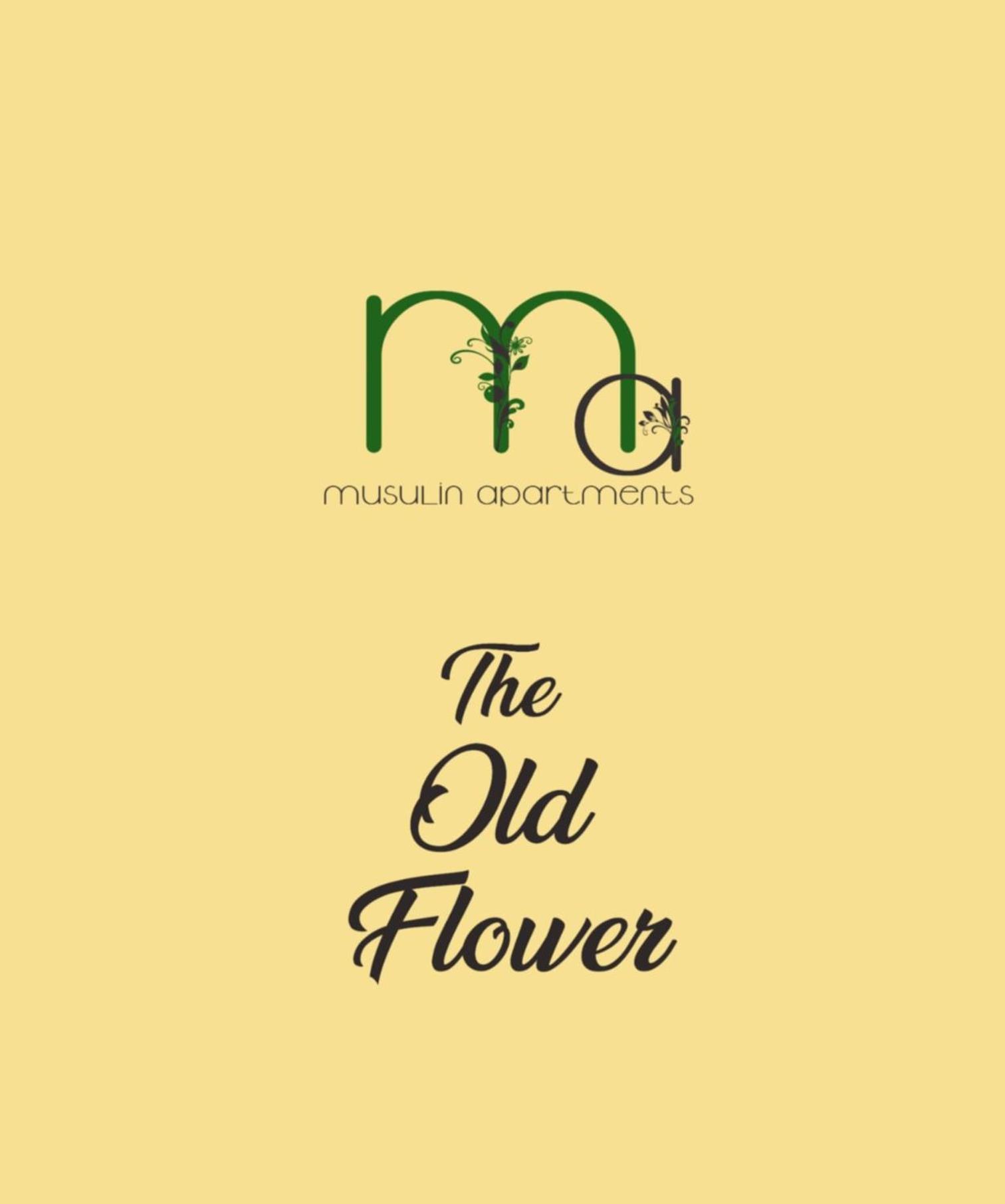 The Old Flower Apartment